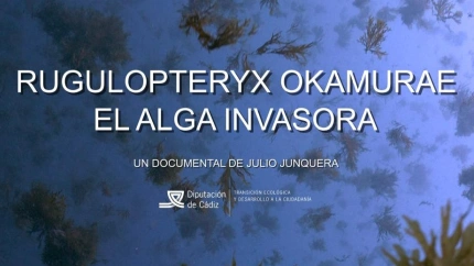 Imagen que presenta el documental