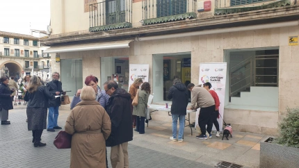 Presupuestos participativos