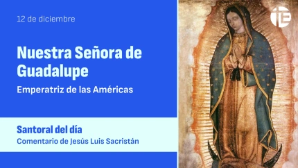 Nuestra Señora de Guadalupe