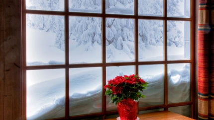 Ventana con flor de Pascua en invierno