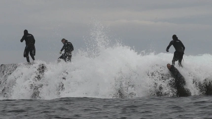 Foto de archivo de un grupo de percebeiros faenando