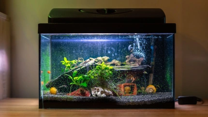 Fotografía recurso de un acuario