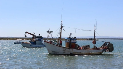Barcos de pesca de arrastre