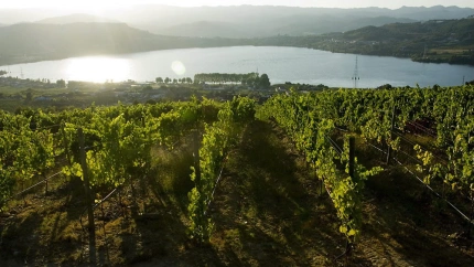 El mejor blanco de Galicia de 2025