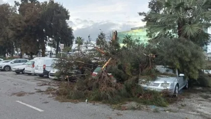 Efectos de un tornado durante la madrugada de este martes en Mijas