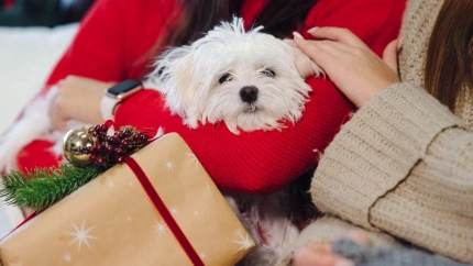 Perrito como regalo de Navidad