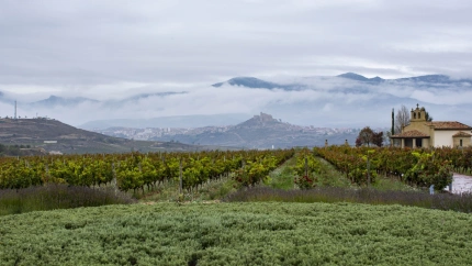 Bodegas Vivanco en Briones