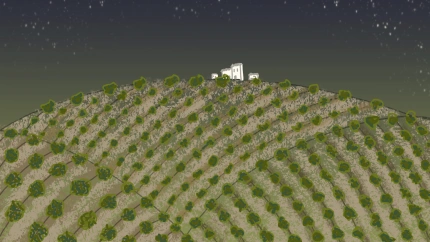 La luz en los olivares - Imagen ganadora VIII Premio Relatos Olivar