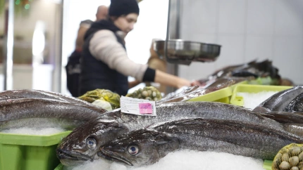 Varias merluzas expuestas para su venta en una pescadería de un mercado de abastos de la localidad de Viveiro