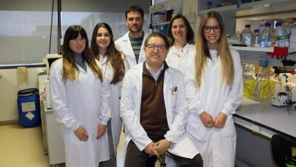 Científicos españoles descubren un interruptor clave en la inflamación pulmonar severa