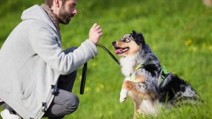 Un hombre entrena a su perro en el parque