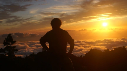 Los verbos que dan sentido a la vida: mucho más que palabras