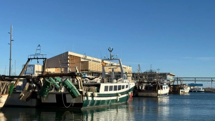 Barcas de los pescadores de Dénia paradas en puerto