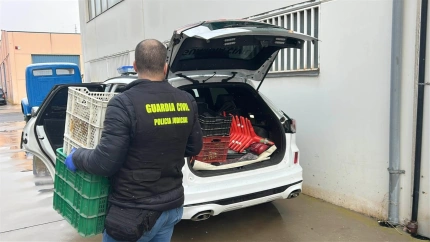 Operación llevada a cabo por la Guardia Civil