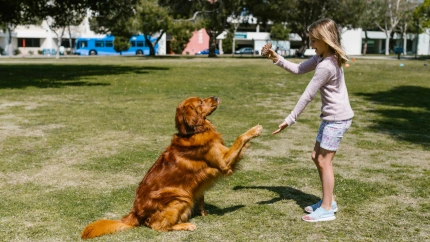 Una niña jugando con su perro