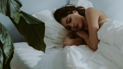 Plantas que oxigenan el ambiente mientras dormimos