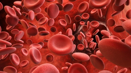 Una proteína abre una nueva vía para predecir y tratar el ictus