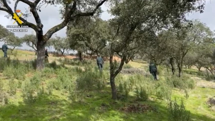 La GC sigue buscando a los desaparecidos