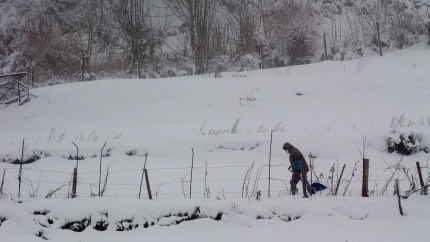Foto de archivo de nieve en Pedrafita do Cebreiro (Lugo)