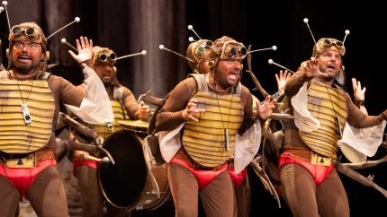 Chirigota 'Las que salen por la noche' - Clasificatorias