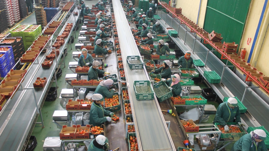 Almacén de manipulado hortofrutícola