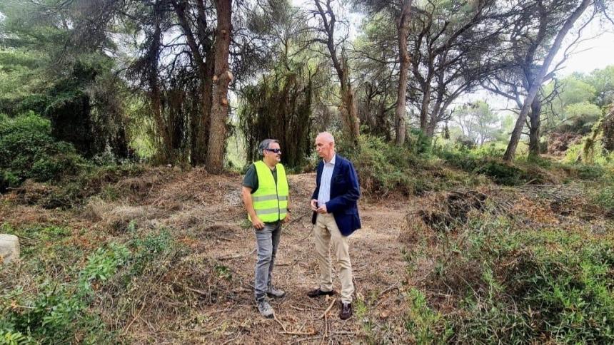 Control de jabalíes en la Devesa