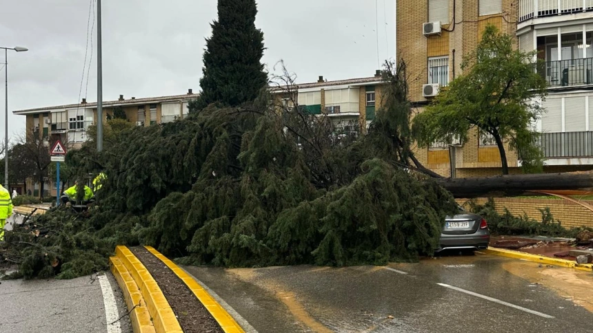 Lo que ha pasado esta mañana por el Aljarafe no ha sido un tornado: un experto explica el fenómeno