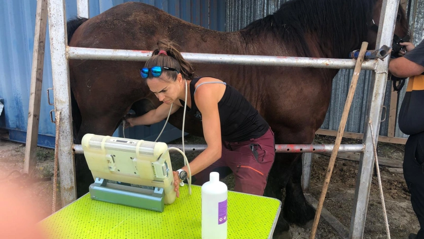 María Marín, veterinaria rural