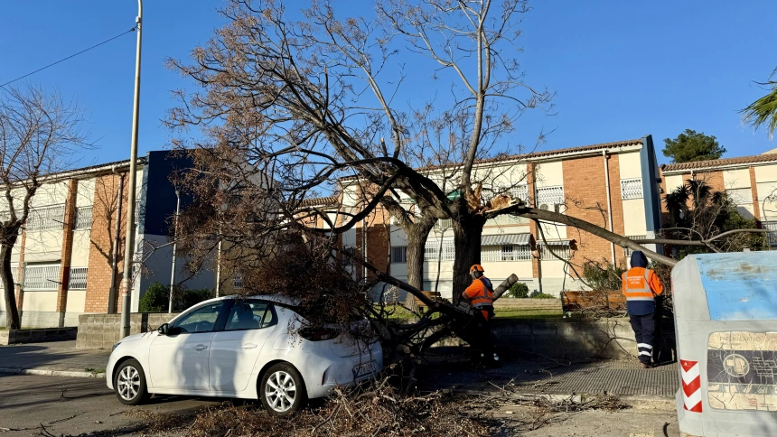 El episodio de viento provoca la primera víctima mortal, una mujer de 46 años, en Barcelona