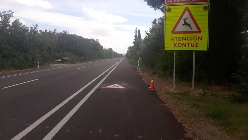 Accidente en Arguedas