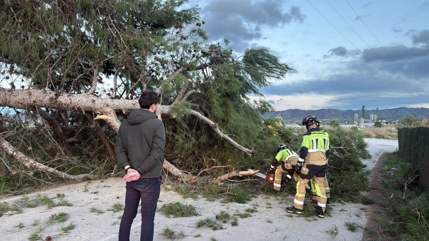 El concejal de Parques observa las labores del personal de Emergencias ante uno de los árboles abatidos por el viento
