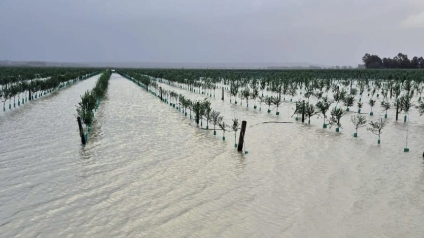 Luis Ramírez, Secretario General de ASAJA en Cádiz