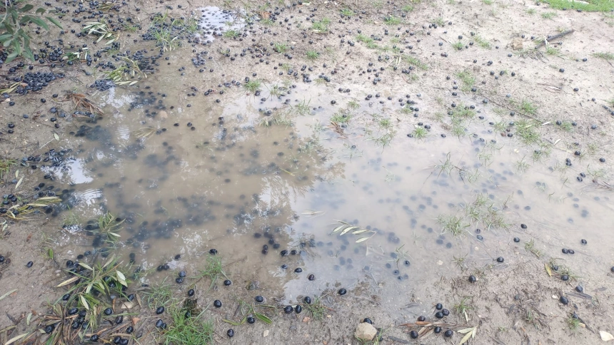 JESÚS ESTRELLA, DELEGADO DEL GOBIERNO