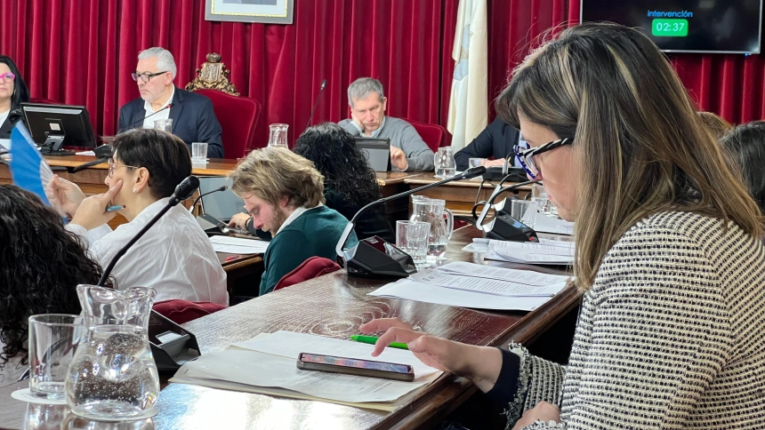 Reigosa en un momento del pleno