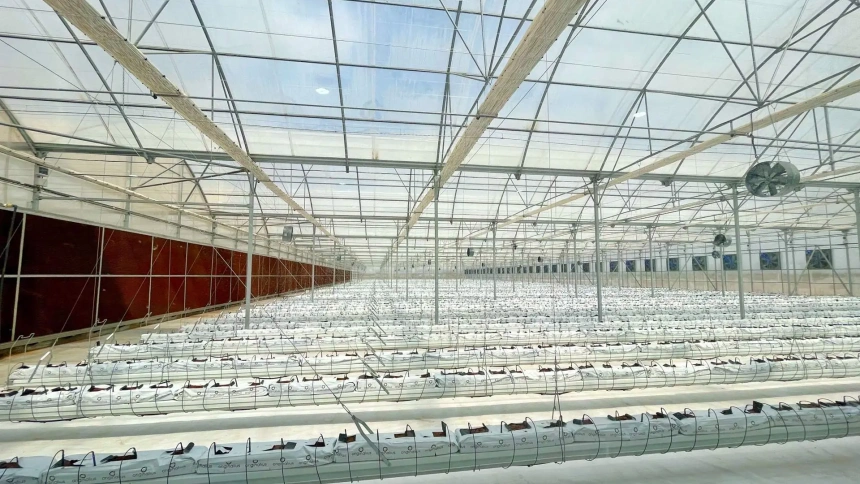 Instalaciones de Ritec en Dubai