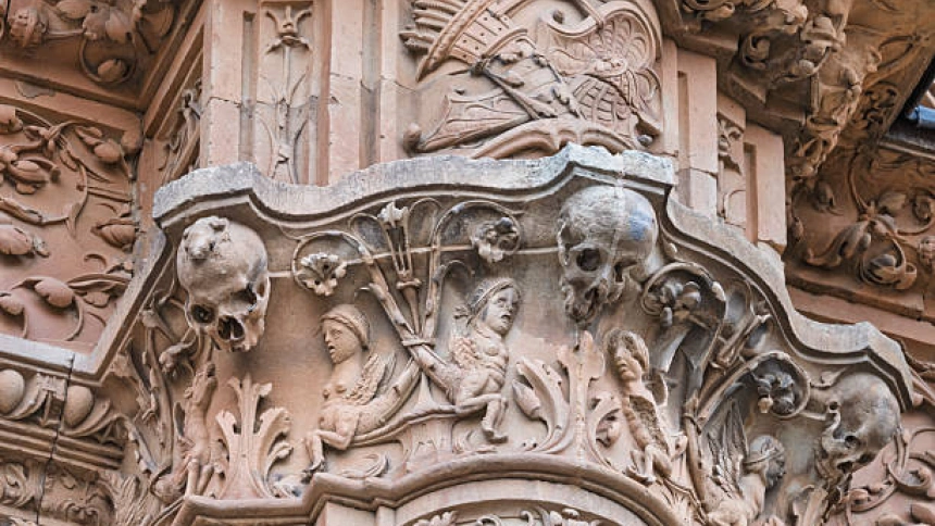 Detalle de la icónica rana en la fachada plateresca de la USAL