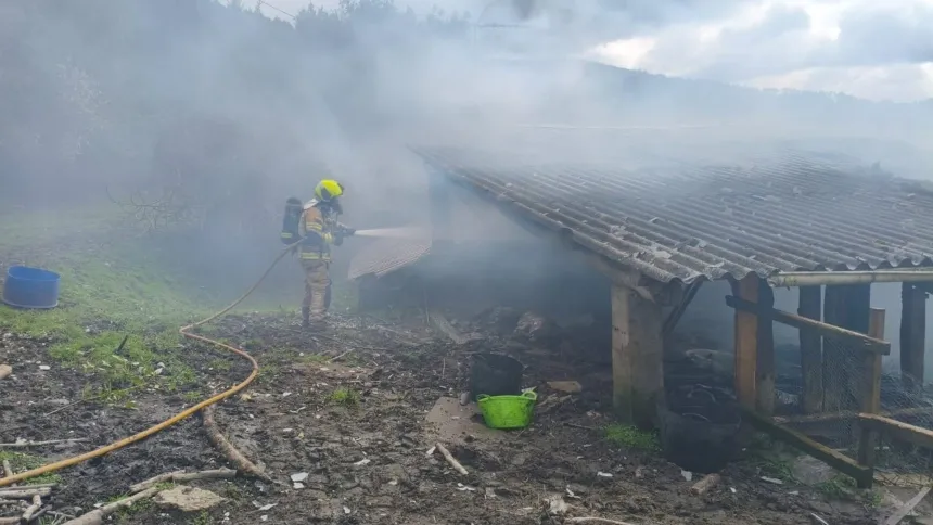 Uno de los efectivos del GES de Mugardos sofocando las llamas en Neda