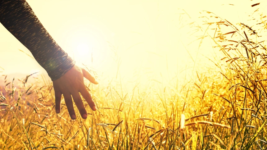 CAMINAR EN MAYÚSCULAS | 20 MARZO 2026 |