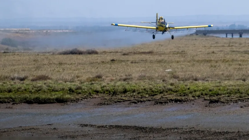 (Foto de ARCHIVO)Tareas de control de mosquitos en marismas del litoral de Huelva.REMITIDA / HANDOUT por DIPUTACIÓN DE HUELVAFotografía remitida a medios de comunicación exclusivamente para ilustrar la noticia a la que hace referencia la imagen, y citando la procedencia de la imagen en la firma04/8/2023