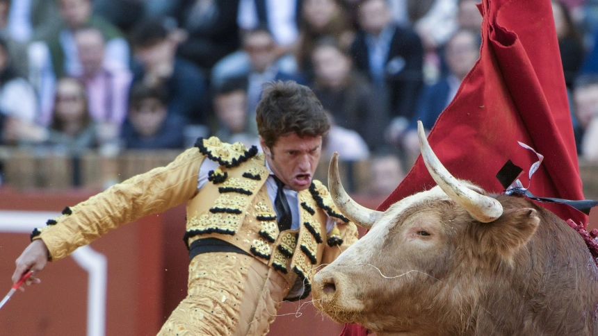 Pase de pecho de Lama de Góngora durante su actuación este sábado en Sevilla