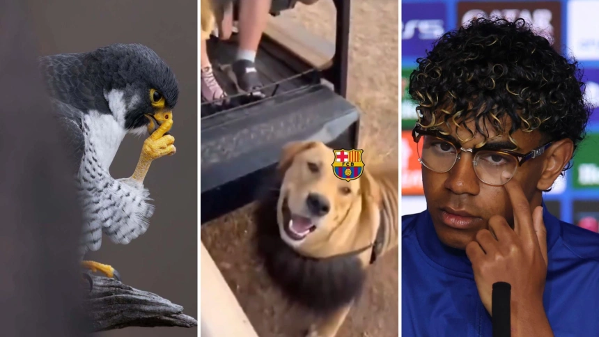 El Atlético de Madrid ha recordado en las redes sociales su victoria ante el Barcelona.