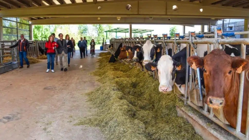 Momento de una de las visitas a las granjas por parte de los alumnos de los centros educativos