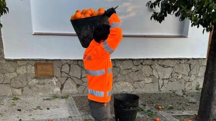 Recogida naranja de las calles en Jerez