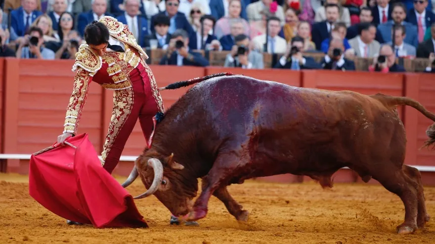 Miguel Ángel Perera y 'Anárquico' de Santiago Domecq