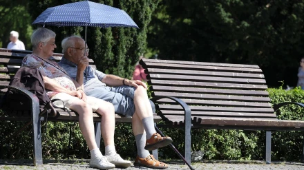 las pensiones de viudedad con cargas familiares han aumentado un 9,1%. Según datos oficiales, la pensión media de jubilación se sitúa en 1.651 euros mensuales