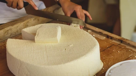 trabajador cortando queso