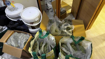 La Guardia Civil incauta casi 15.000 gramos de marihuana en Alcanadre: La droga estaba lista para distribuirse en las fiestas de San Mateo