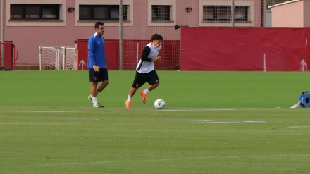 Virgili, en Son Bibiloni