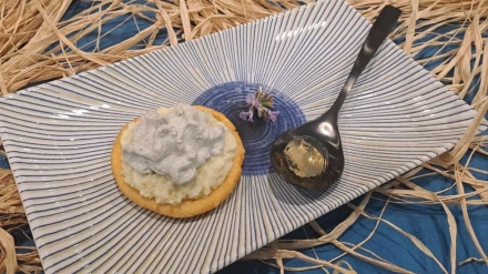 Tapa del Visado Gastronómico de Íscar de ediciones anteriores