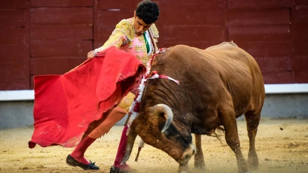 Samuel Castrejón durante la final del 'Camino hacia Las Ventas'